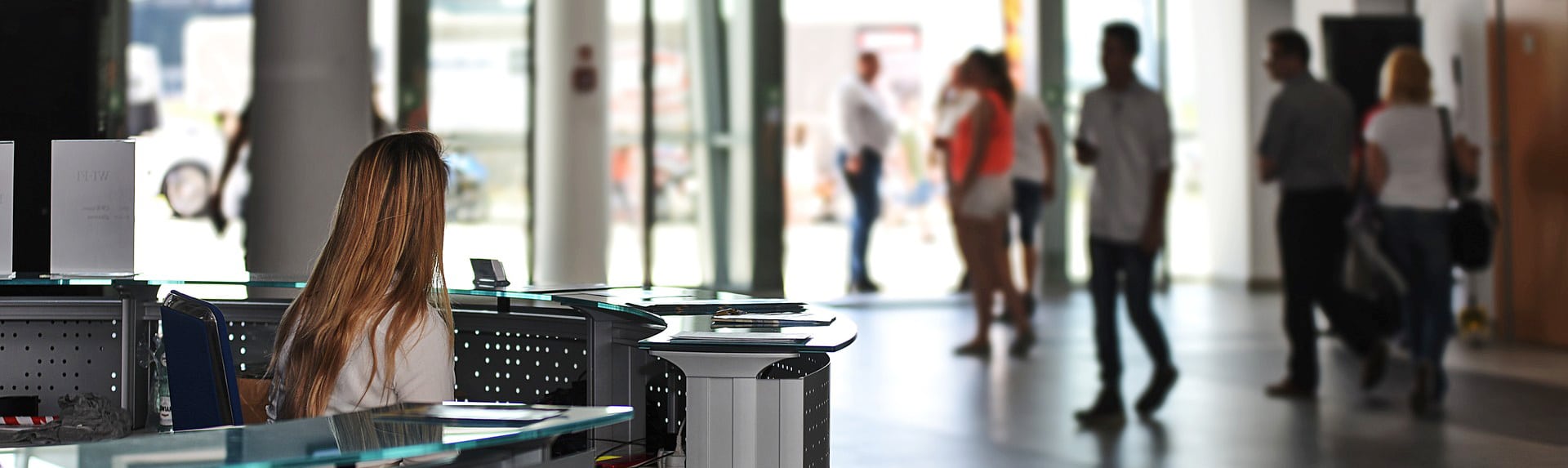 Iev immobilier entreprise vendée